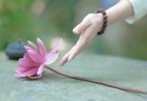 Buông xả để chuyển hóa