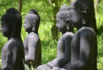 Để Chánh pháp trường tồn