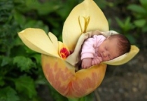 Phá thai: Một góc nhìn Phật giáo