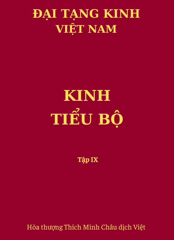 Kinh Tiểu Bộ IX - Chuyền Tiền Thân (số 521 - 539)
